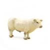 Little Buster Charolais Bull -Cowboy Store image 273ae7e3 7348 41ca a8d7 5f00613e9573