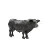 Little Buster Black Angus Bull -Cowboy Store image 83659d76 bfa9 4036 8ff0 b52b891e2453